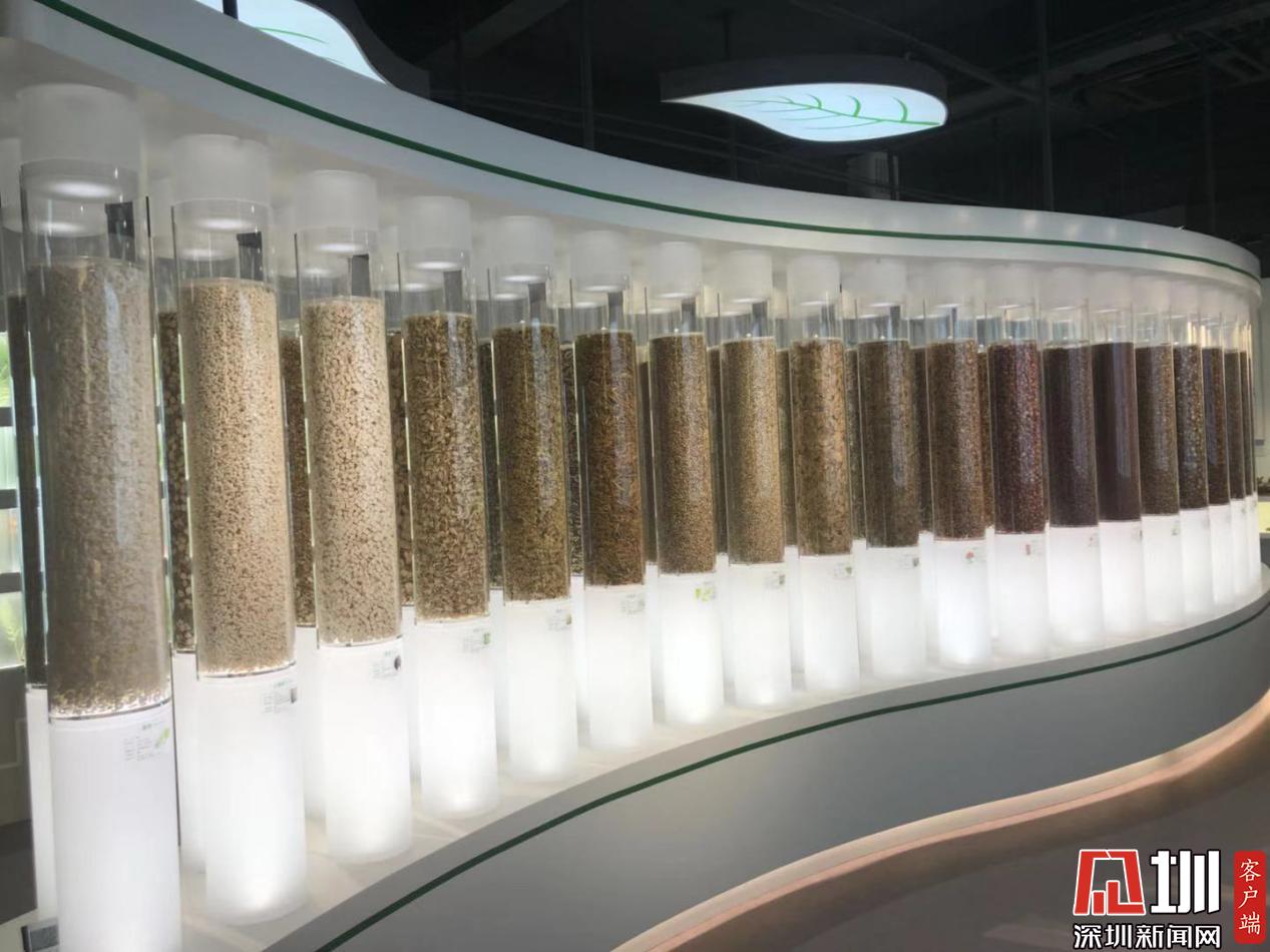 而今邁步從頭越！國家藥監局兩重點實驗室落戶深圳，醫藥科技迎來新機遇