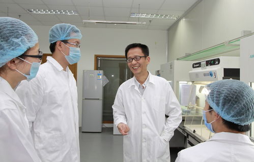 廈門市科技獎凸顯企業創新主體地位，醫藥科技領域成果斐然引領高質量發展